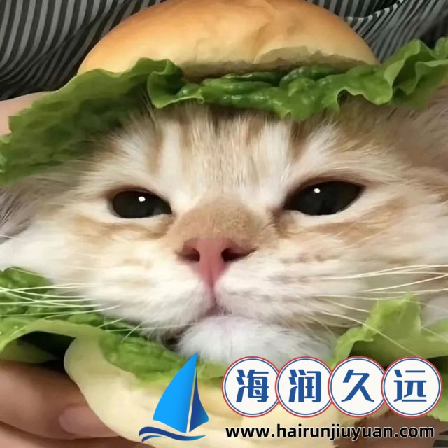 HD技术大揭秘：如何让你的视觉体验达到极致！