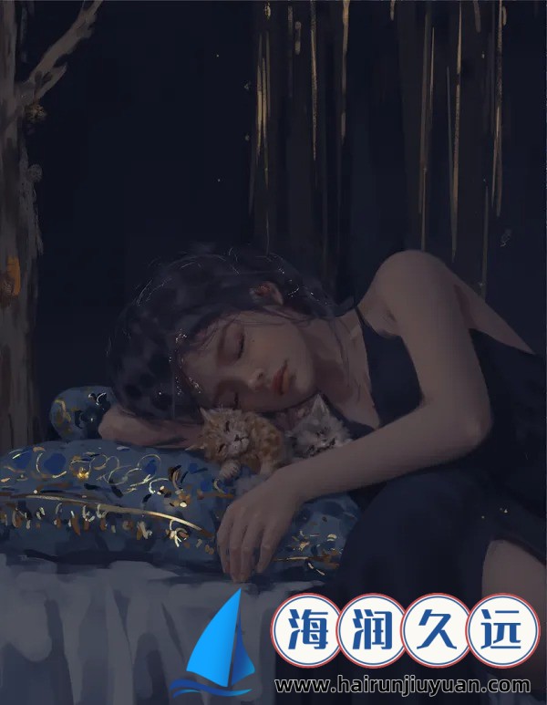 打开巴士驾驶员的世界：承载梦想与责任的旅程