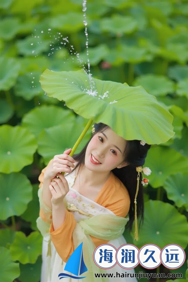 揭秘“高清电影资源免费观看系统”：如何安全高效获取海量影视资源
