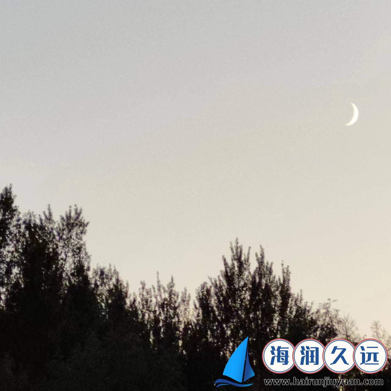 【九阴真经那个门派好】九阴真经各大门派好不好？快速了解强弱对比！