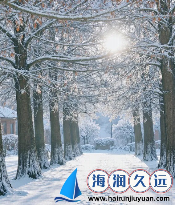 睡醒后，我还在C1V1古代！唤醒梦中的历史记忆