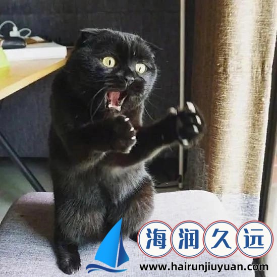 震惊！小镇做题家是什么意思？揭秘背后不为人知的社会真相！