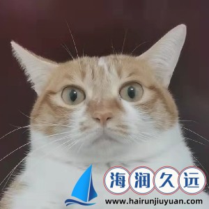 高压监狱法国1时43分：揭秘法国最严酷监狱的生存法则