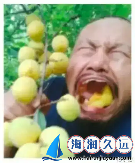 不容错过：中文字字幕乱码500页的惊人真相！