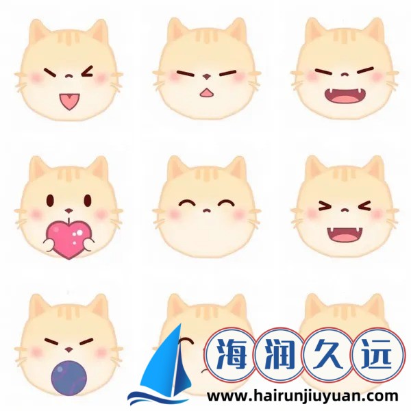 无人一区二区区别是什么意思？揭秘背后的技术与应用